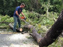 Best Storm Damage Tree Cleanup  in Pelahatchie, MS